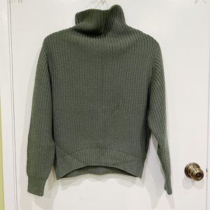 Aritzia Wilfred Montpellier turtleneck sweater sage green size XXS